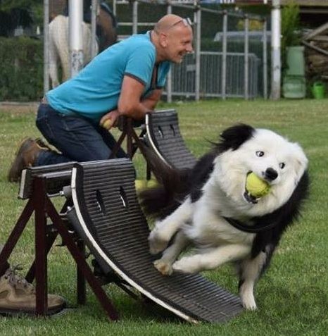 cropped-IMG-20170716-WA0004.jpg
