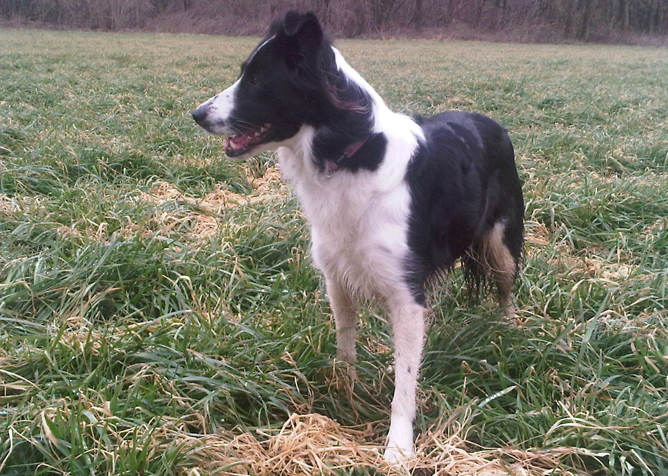 cropped-IMG00259-20120223-1348.jpg